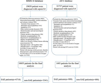 Conservative oxygen therapy in critically ill and perioperative period of patients with sepsis-associated encephalopathy